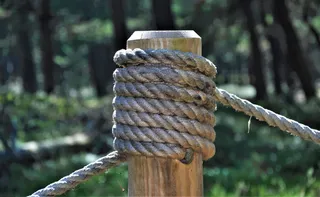 字符串、节点、木桩、绳索、森林、聚焦前景、天、树