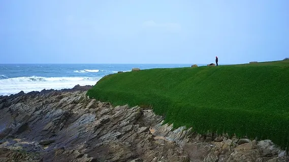 站在绿色草地上的人 站在绿色草地上的人