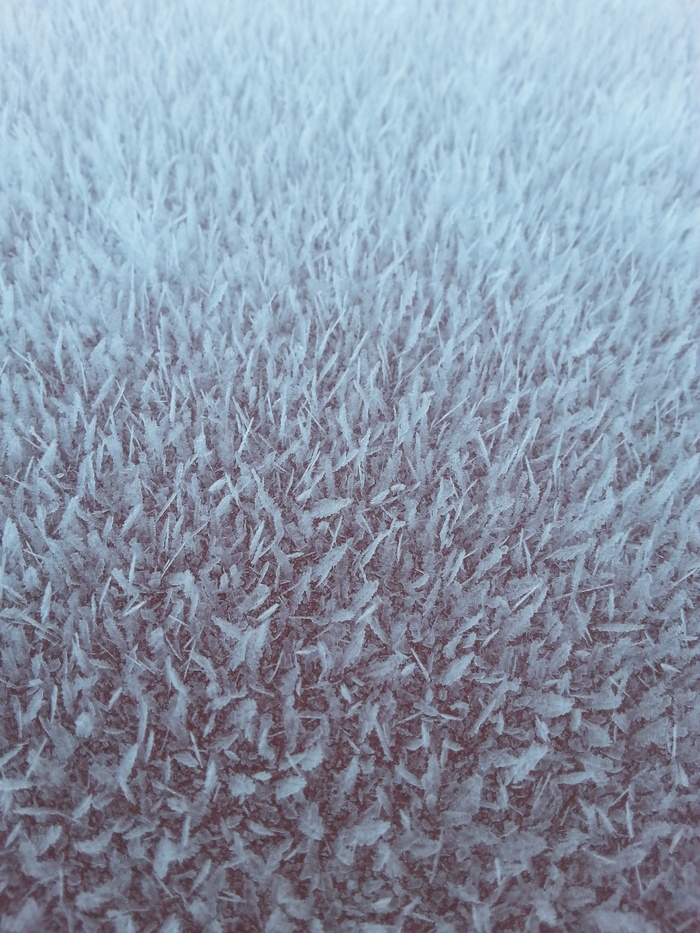 雾凇、霜冻、pakkaskukka、雨花、雪、冬天、芬兰语、雪