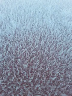 雾凇、霜冻、pakkaskukka、雨花、雪、冬天、芬兰语、雪