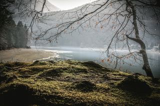 无叶树、身体、水、白天、山脉、自然、湖泊、景观