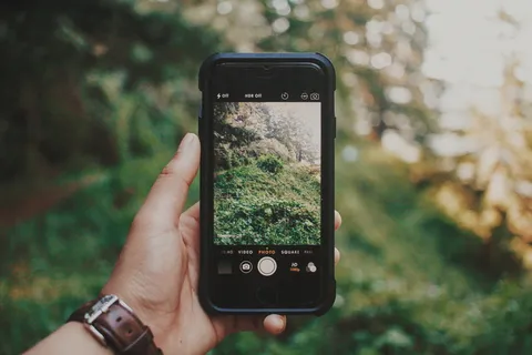 美国, 半月湾, purisima 溪红杉开放空间保护区, 电话, 移动, ios, 树木, 散景