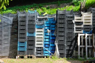 板条箱, 苹果箱, 酒盒, 堆栈, 股票, 杂波, 混乱, 收获