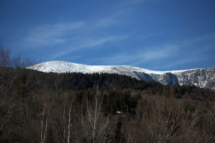 森林, 风景, 山, 雪, 树, 冬天, 树林, 自然