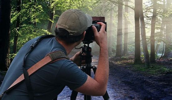 摄影师在森林里，用三脚架上的单反相机拍摄自然图像。