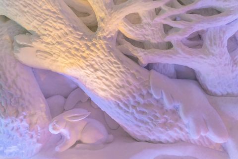 白色、陶瓷、兔子雕像、雪酒店、冰吧、冰雕、挪威科克内斯