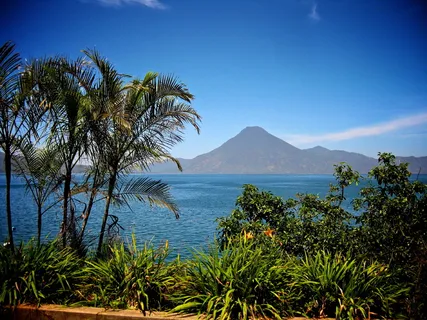 危地马拉,火山,湖泊,树木,水,植物,山,树 危地马拉,火山,湖泊,树木,水,植物,山,树