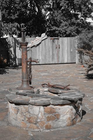 水泵，单色，艺术，树，植物，建筑，日，建筑结构