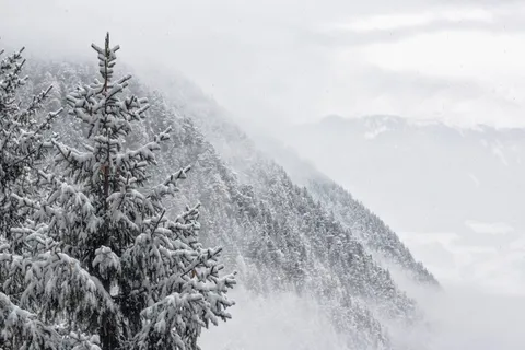 灰色,风景,山脉,雪,树木,白色,冬天,寒冷的温度 灰色,风景,山脉,雪,树木,白色,冬天,寒冷的温度