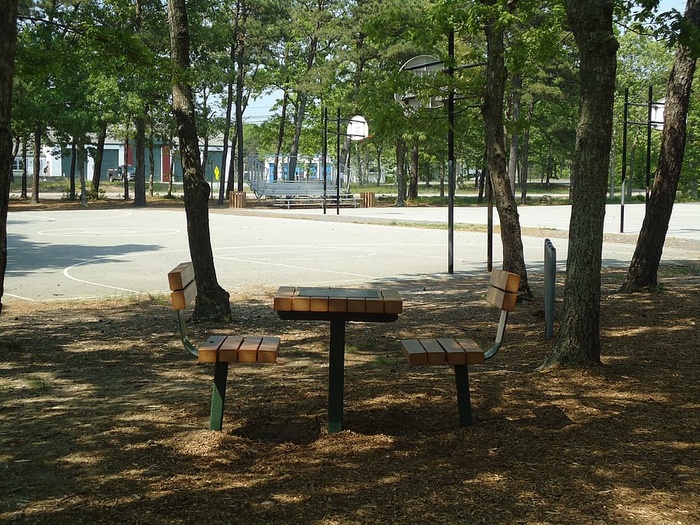 公园，野餐，桌子，长凳，树荫，树，座位，植物