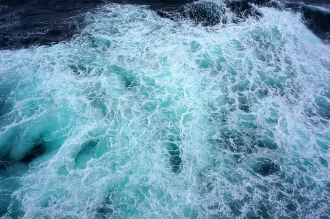 水体 水体