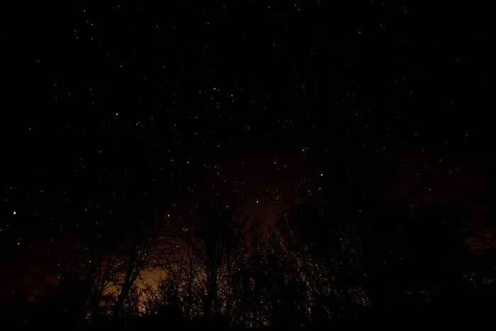 天空摄影，夜晚，自然，黑色，黑暗，天空，星星，树木