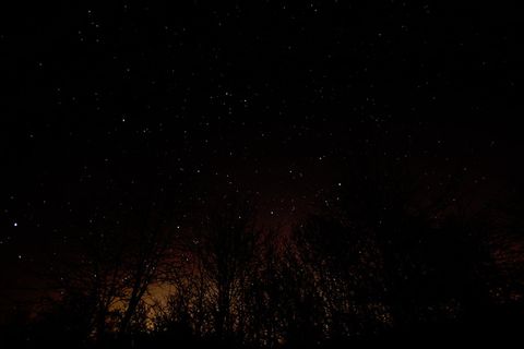 天空摄影，夜晚，自然，黑色，黑暗，天空，星星，树木