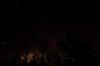 天空摄影，夜晚，自然，黑色，黑暗，天空，星星，树木