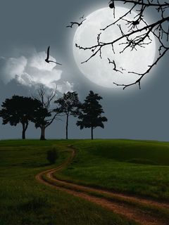 数字艺术，艺术品，月亮，神秘，风景，场景，幻想，夜晚