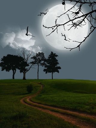 数字艺术，艺术品，月亮，神秘，风景，场景，幻想，夜晚