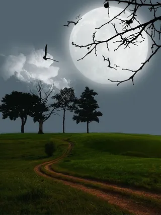 数字艺术，艺术品，月亮，神秘，风景，场景，幻想，夜晚