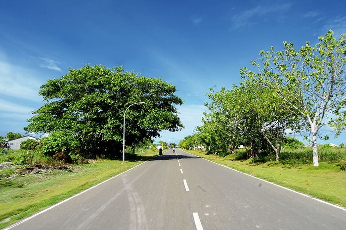 道路、风景、自然、天空、云朵、乡村、日光、草地