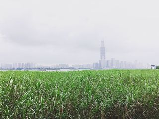 武汉，滨江，长江，建筑外观，建筑结构，建筑，工厂，天空