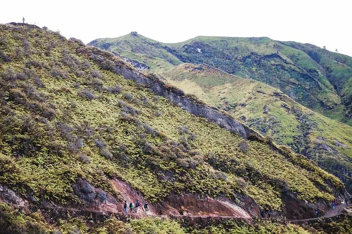 绿色山路，徒步旅行