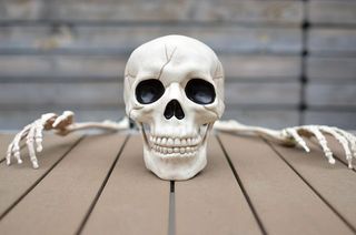 美国，皇家橡树，万圣节，恐惧，恐怖，幽灵，骷髅，十月