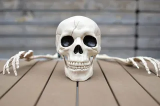 美国，皇家橡树，万圣节，恐惧，恐怖，幽灵，骷髅，十月