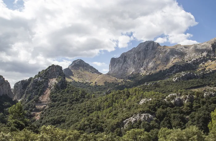 景观，山脉，自然，户外，落基山，风景，树木，风景