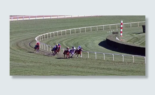 动物，马，比赛，比赛，颜色，比赛，农场，跑道