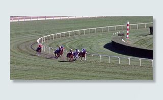 动物，马，比赛，比赛，颜色，比赛，农场，跑道