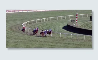 动物，马，比赛，比赛，颜色，比赛，农场，跑道