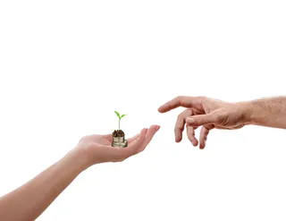 手，孤立，植物，手掌，生长，成就，硬币，人手