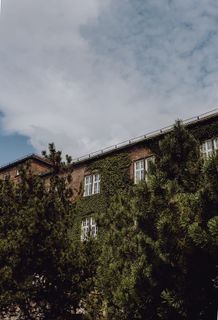 波兰首府克拉科夫的魅力