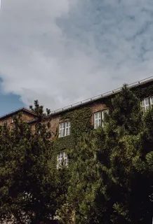 波兰首府克拉科夫的魅力