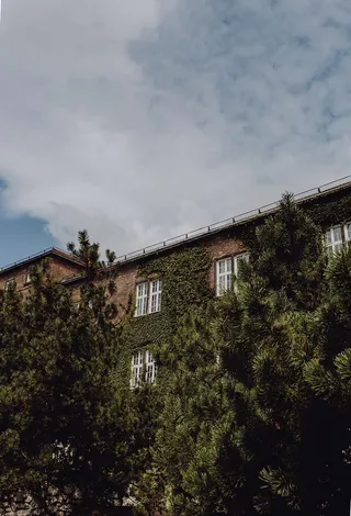 波兰首府克拉科夫的魅力