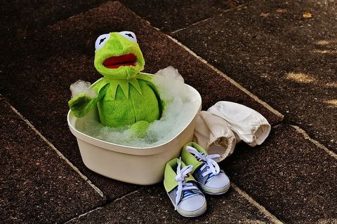 克米特，青蛙，白色，塑料桶，浴缸，沐浴泡沫，搞笑，可爱