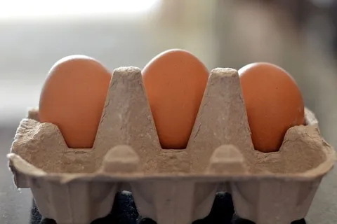 容器内鸡蛋，食品，健康，棕色，鸡蛋，食品和饮料，特写，鸡蛋盒