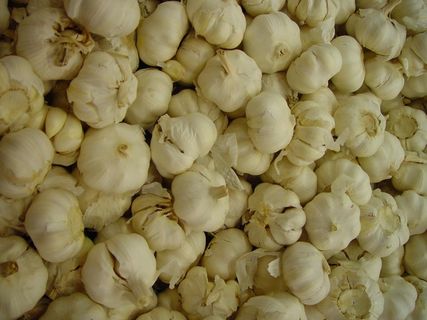 丁香、无止境、大蒜、蔬菜、植物、植物、全框架、新鲜度