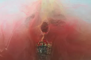 头骨，干燥头，骷髅，死亡，死亡，骨骼，深色，骨骼