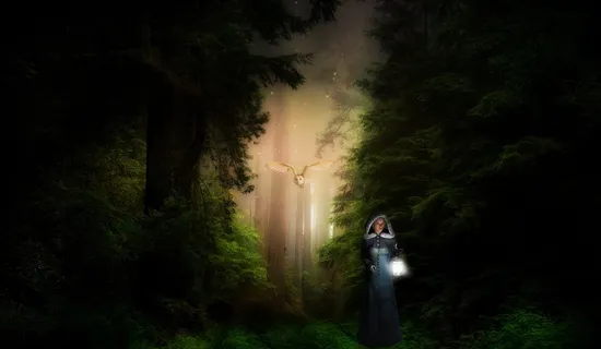 幻想，森林，光，树，神秘，童话，雌性，猫头鹰