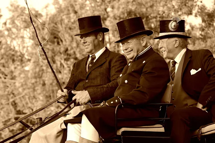 车夫，教练，缰绳，鞭子，男人，人，礼帽，制服