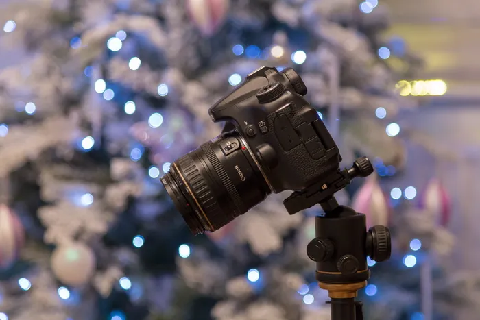 佳能, 相机, bokah, 镜头, 灯, 技术, 艺术文化娱乐, 摄影主题