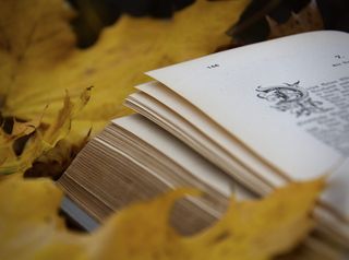 打开白皮书、文字、树叶、植物、书籍、叉子、餐具、纸张