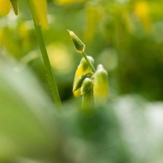 <!DOCTYPE html>
<html>
    <head>
        <title>文件“C:log.txt”正由另一进程使用，因此该进程无法访问此文件。</title>
        <meta name="viewport" content="width=device-width" />
        <style>
         body {font-fam