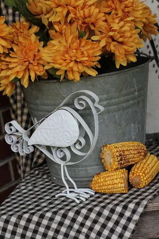 秋天，橙色，装饰，秋天，季节，装饰，自然，季节