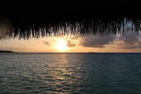 日落，阳光，日出，风景，自然，夏天，早晨，橙色