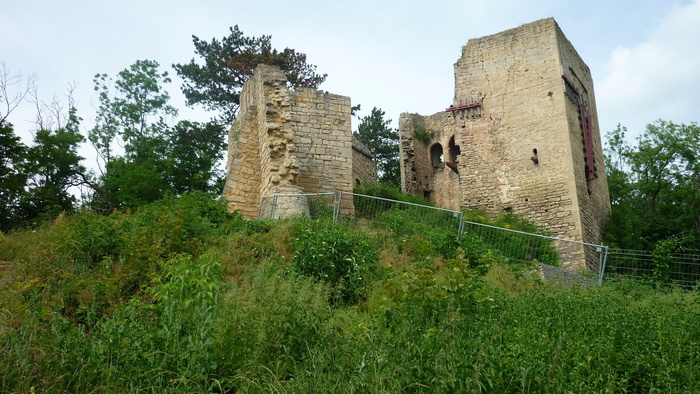 lobdeburg，Burgrine，文化纪念碑，以耶拿为例，植物，建筑，建筑，历史