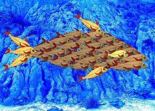 凝聚力、保护、安全、群体、社区、分离、鱼、蓝色