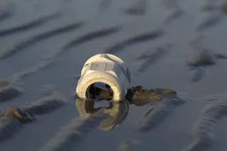 垃圾nordsee、恒温器、瓦特、污染、瓦登海、水、动物、自然