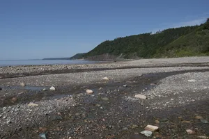 芬迪海岸，新不伦瑞克，海岸，芬迪，水，景观，海岸线，大西洋