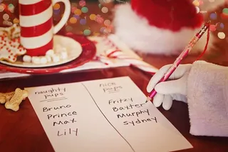 圣诞老人淘气名单